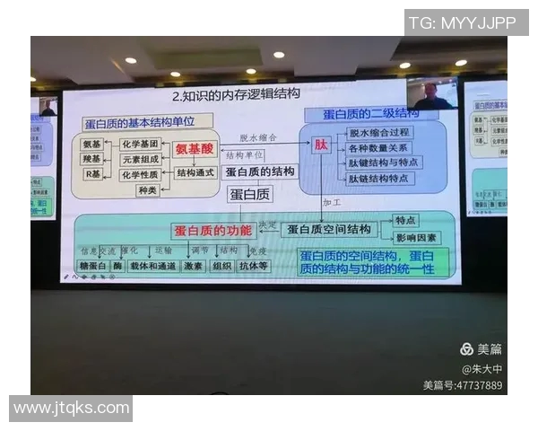 乒乓球战术解析：北京乒乓球队盯防体系的策略与实践探讨